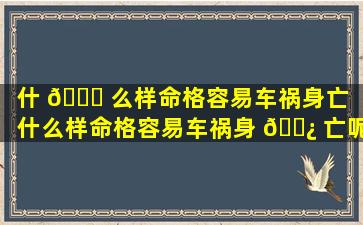 什 🐟 么样命格容易车祸身亡「什么样命格容易车祸身 🌿 亡呢」